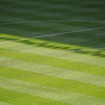 Image for Sport programme "Live Women's International Football"