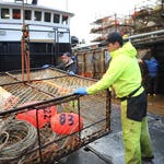 Image for Documentary programme "Deadliest Catch"