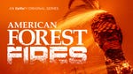 Image for the Nature programme "American Forest Fires: The Untold Story"