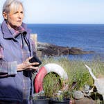 Image for Drama programme "Shetland"