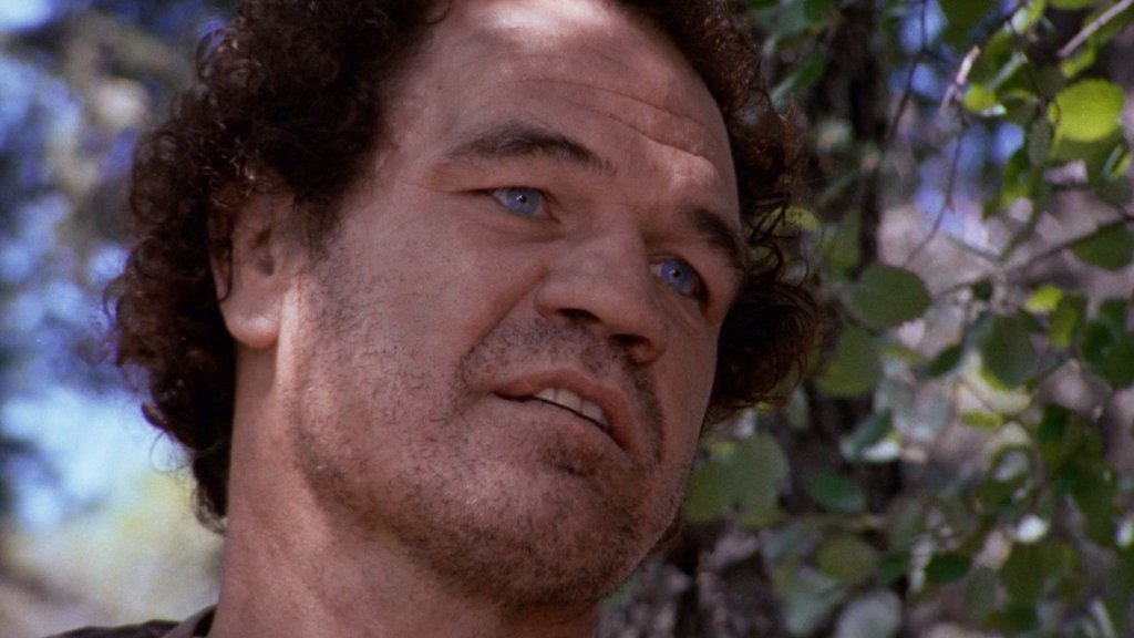 Walker, Texas Ranger on Legend: full details and when it's on | TV Guide