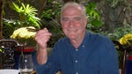 Image for the Cookery programme "Rick Stein's Far Eastern Odyssey"