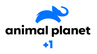 Animal Planet +1